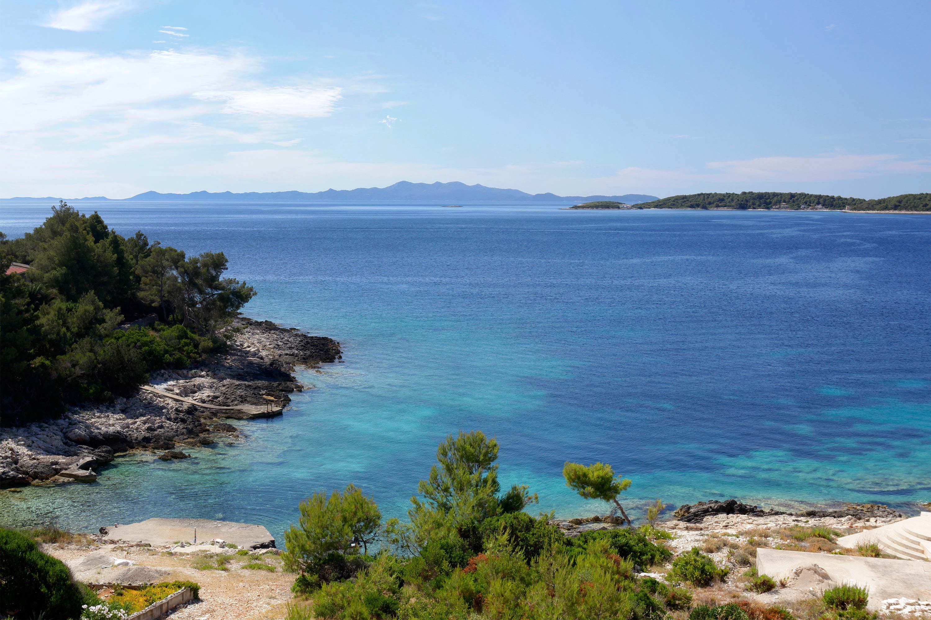 Pogled